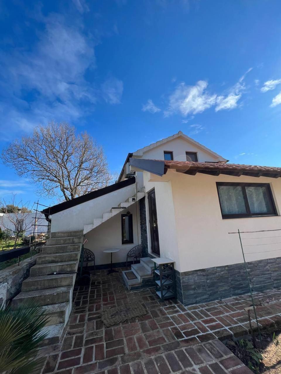 Villa Shu Krimovica Dış mekan fotoğraf