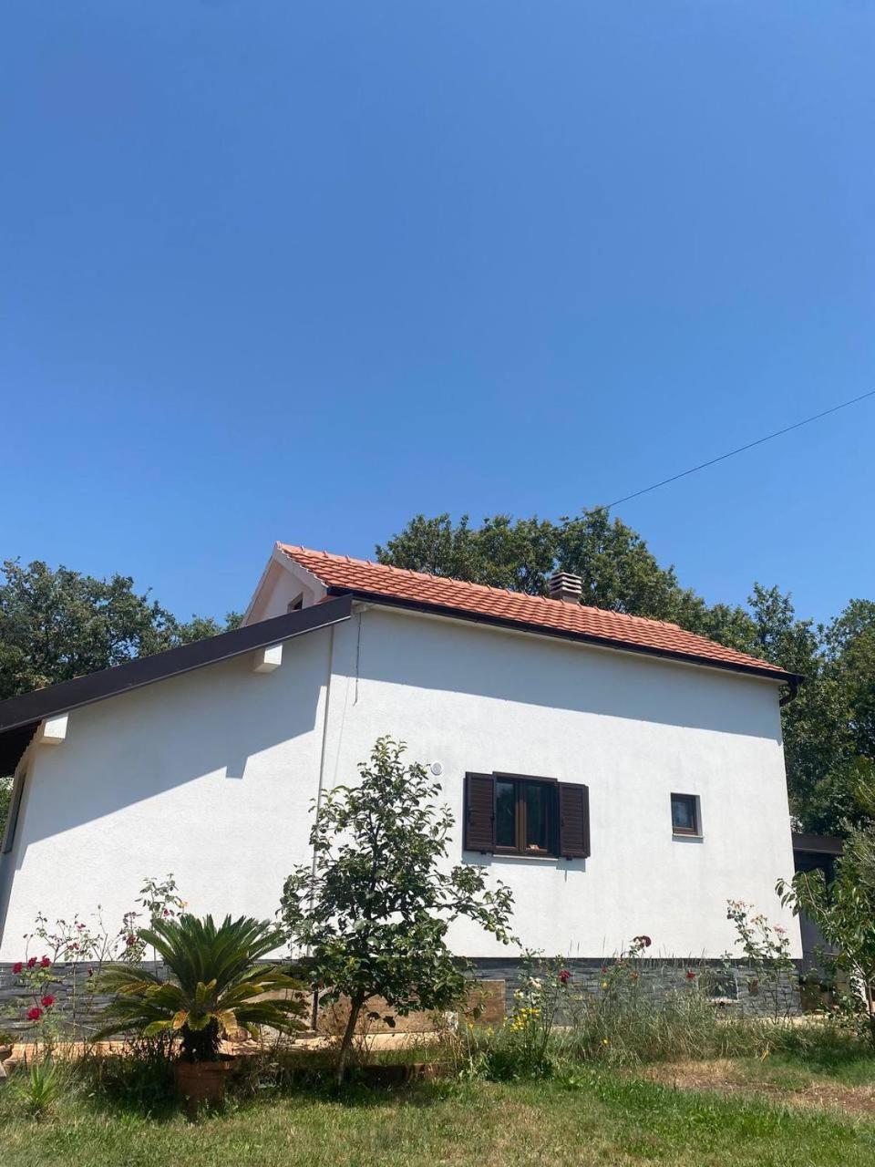 Villa Shu Krimovica Dış mekan fotoğraf