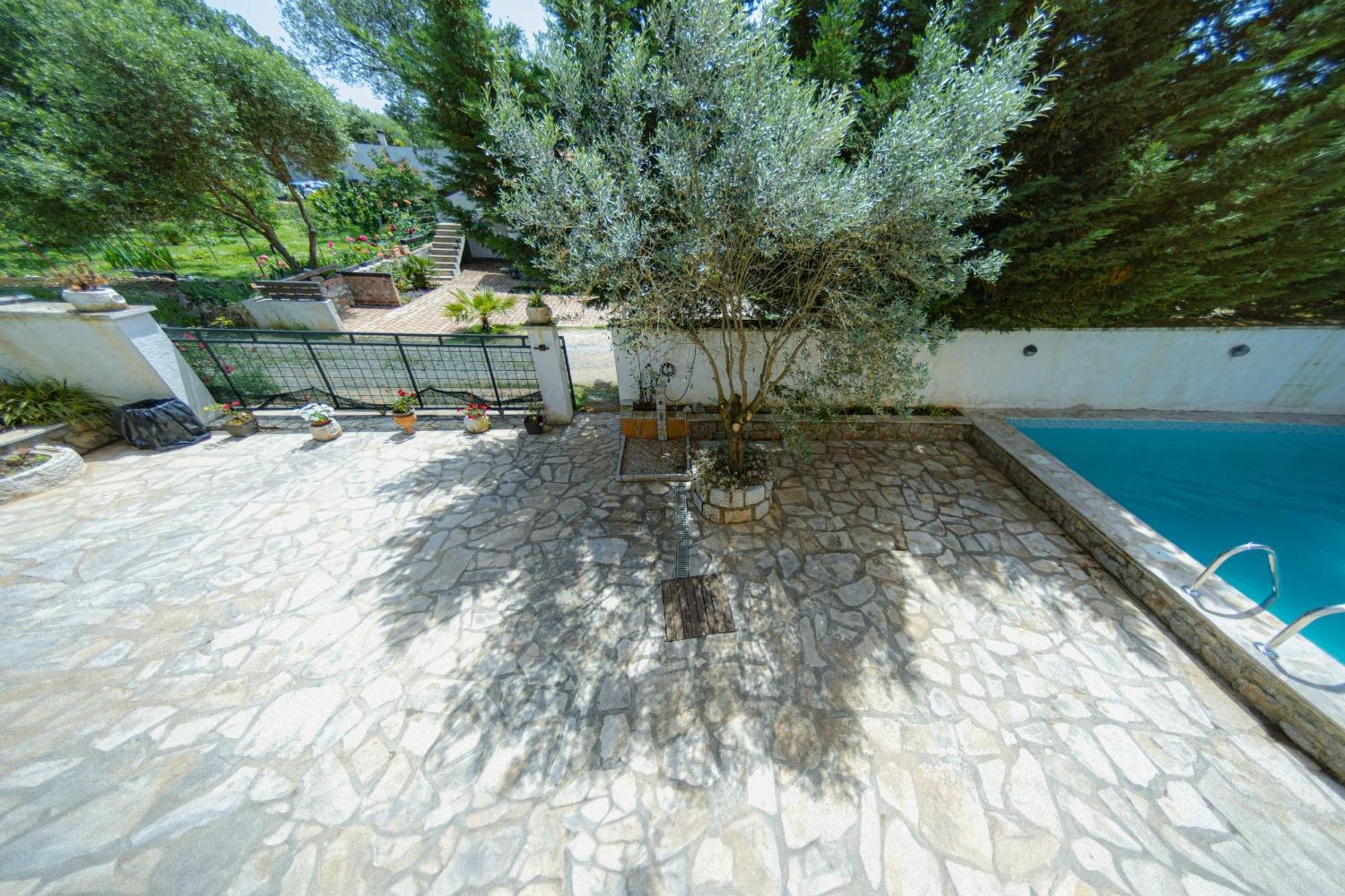 Villa Shu Krimovica Dış mekan fotoğraf